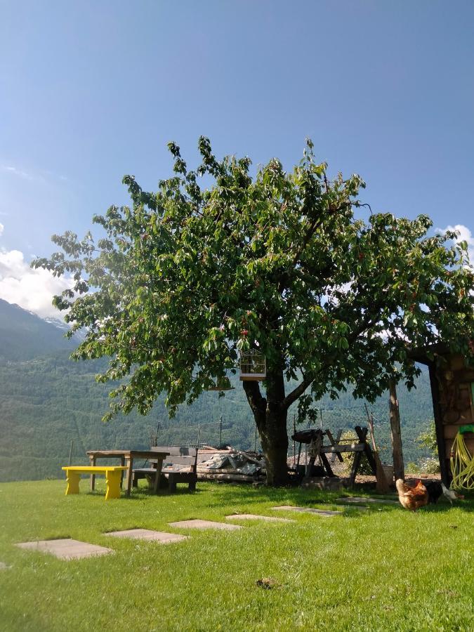 Il Posto Al Sole Frühstückspension Teglio